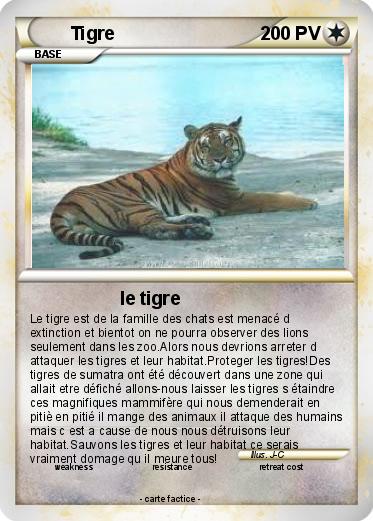 Pokemon Tigre