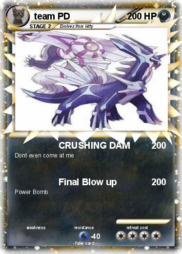 Pokemon team PD