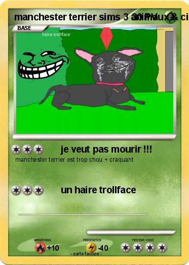 Pokemon manchester terrier sims 3 animaux & cie 3DS