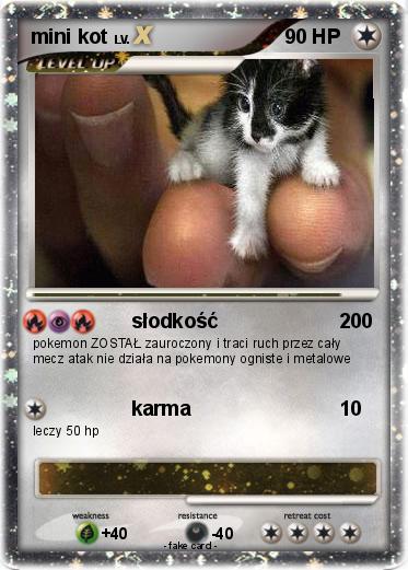 Pokemon mini kot