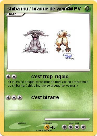 Pokemon shiba inu / braque de weimar