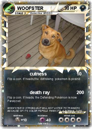Pokemon WOOFSTER