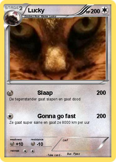 Pokemon Lucky