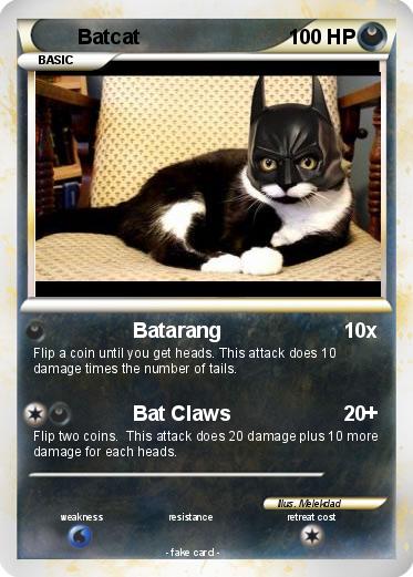 Pokemon Batcat