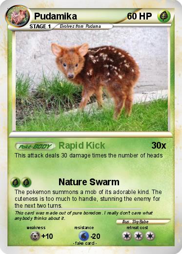 Pokemon Pudamika