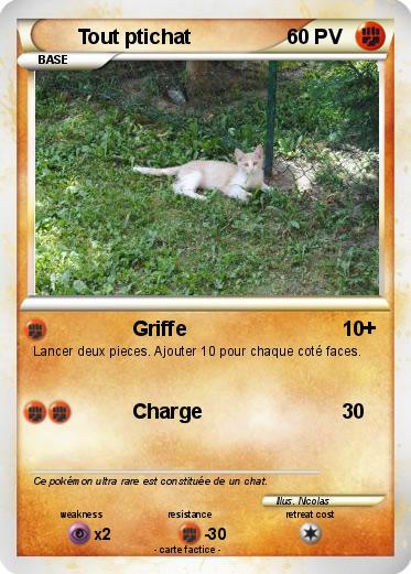 Pokemon Tout ptichat