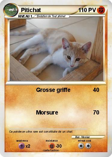 Pokemon Pitichat