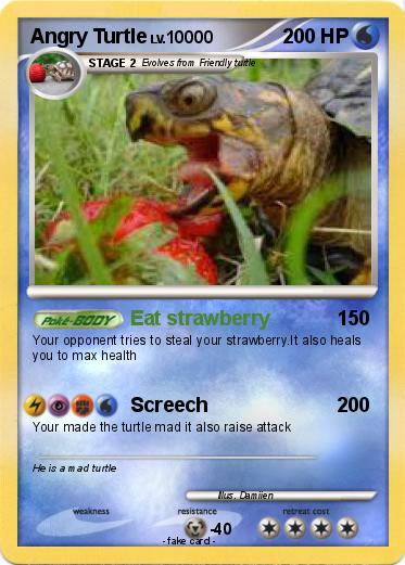 Pokemon Angry Turtle