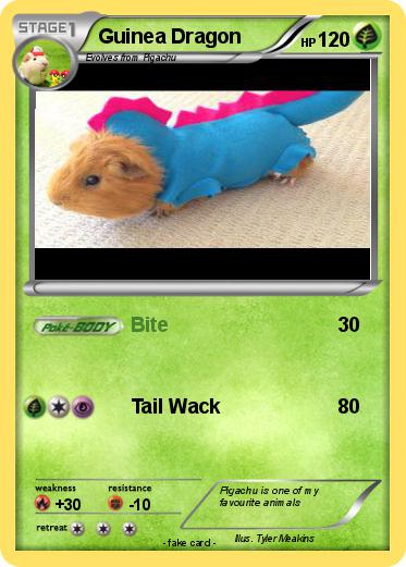 Pokemon Guinea Dragon