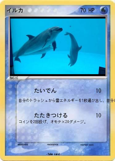 Pokemon イルカ