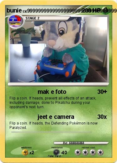 Pokemon bunie