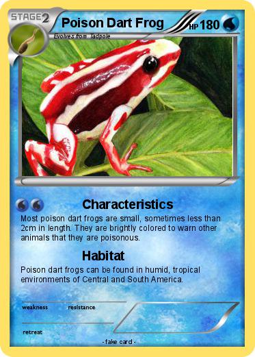 Pokemon Poison Dart Frog