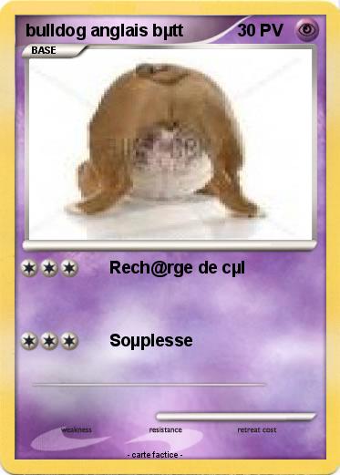 Pokemon bulldog anglais bµtt