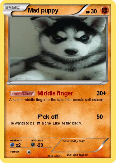 Pokemon Mad puppy