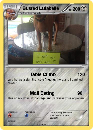 Pokemon Busted Lulabelle