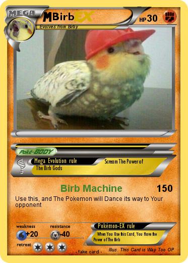 Pokemon Birb