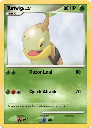 Pokemon Turtwig