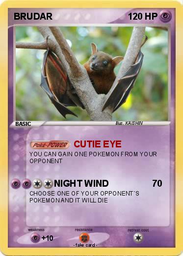 Pokemon BRUDAR