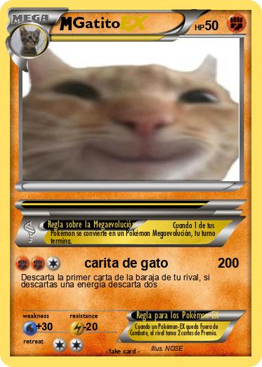 Pokemon Gatito