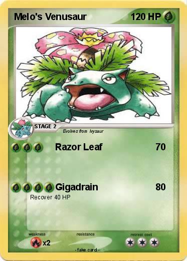 Pokemon Melo's Venusaur