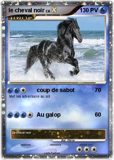 Pokemon le cheval noir