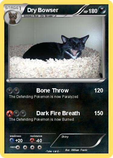Pokemon Dry Bowser