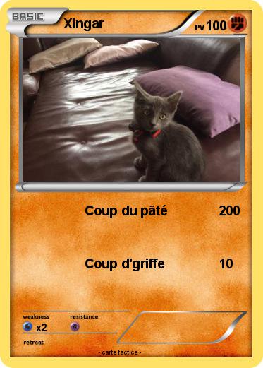 Pokemon Xingar