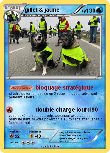 Pokemon gillet & jaune