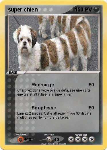 Pokemon super chien
