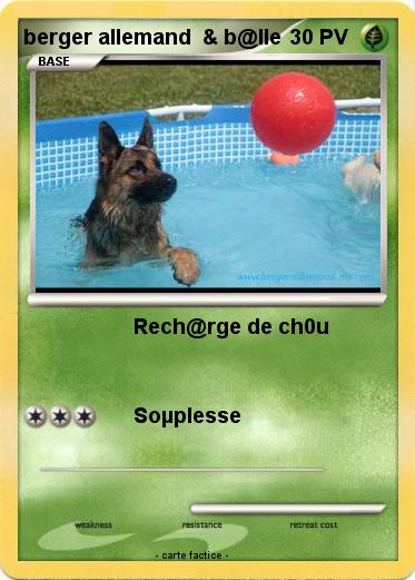 Pokemon berger allemand  & b@lle