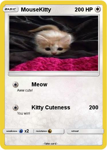 Pokemon MouseKitty