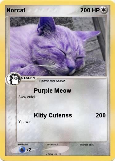 Pokemon Norcat