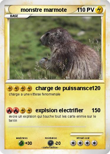 Pokemon monstre marmote