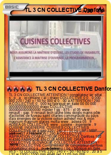 Pokemon TL 3 CN COLLECTIVE Danfoss