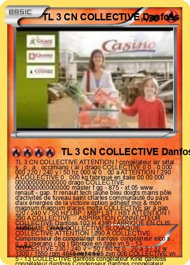 Pokemon TL 3 CN COLLECTIVE Danfoss