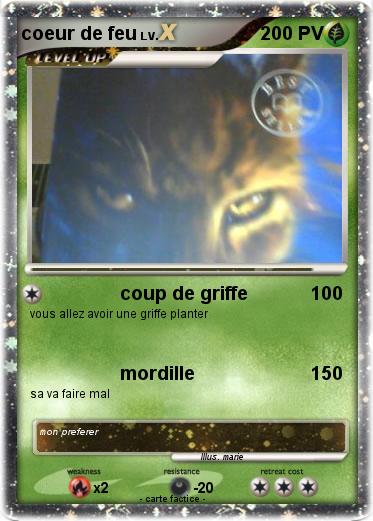 Pokemon coeur de feu