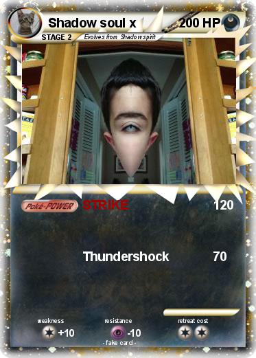 Pokemon Shadow soul x