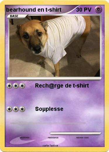 Pokemon bearhound en t-shirt
