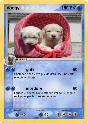Pokemon doogy