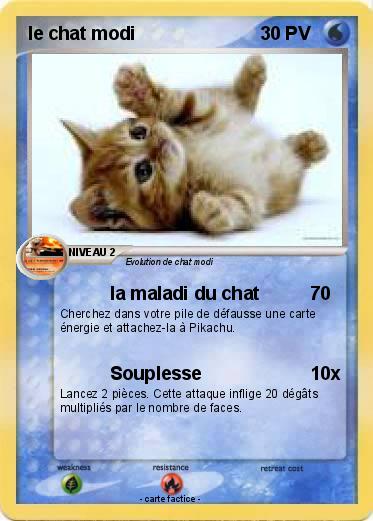 Pokemon le chat modi