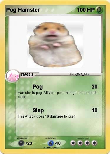 Pokemon Pog Hamster