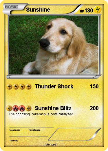 Pokemon Sunshine