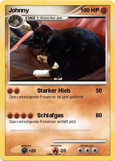 Pokemon Johnny