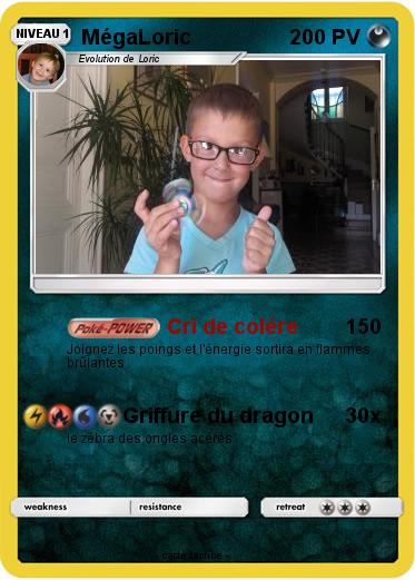 Pokemon MégaLoric