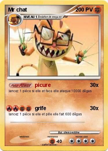 Pokemon Mr chat