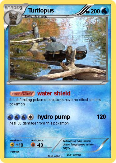 Pokemon Turtlopus