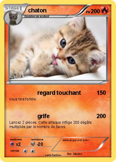 Pokemon chaton