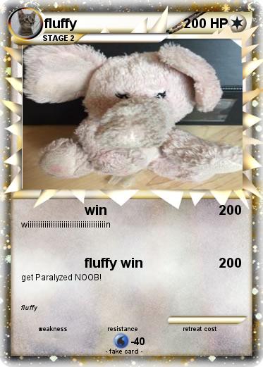 Pokemon fluffy