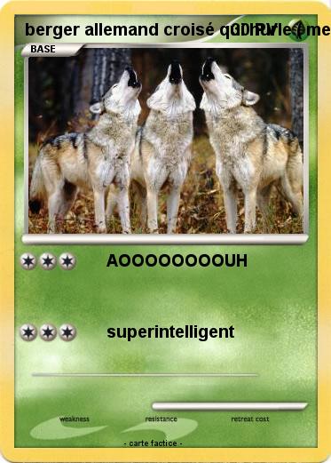 Pokemon berger allemand croisé qui hurle ( meute )