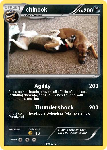 Pokemon chinook